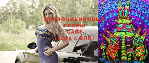 стафф Алексеевка