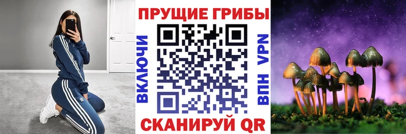 kraken сайт  Красноуфимск  Галлюциногенные грибы мицелий 